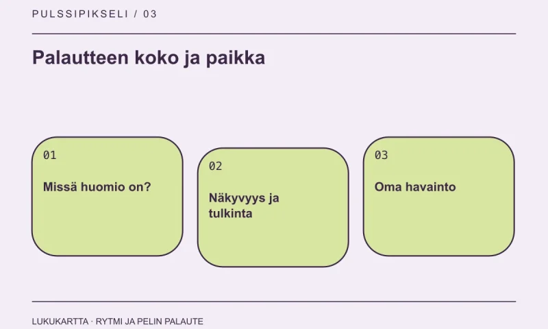 Lukukartta: Palautteen koko ja paikka. Missä huomio on?, Näkyvyys ja tulkinta, Oma havainto.